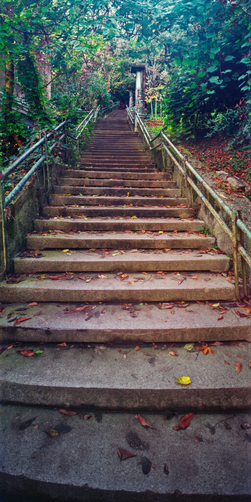 Aleksandrove stube, Tuškanac